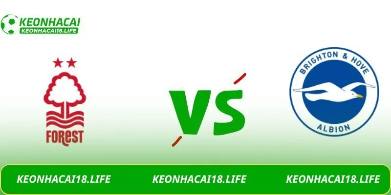 Soi kèo Nottingham Forest vs Brighton
